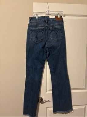 Judy Blue Boot Cut